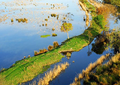 vigueirat marshes in camargue