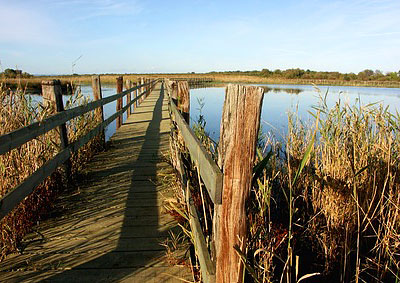 camargue museum