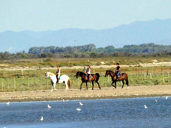 Promenade %C3%A0 cheval