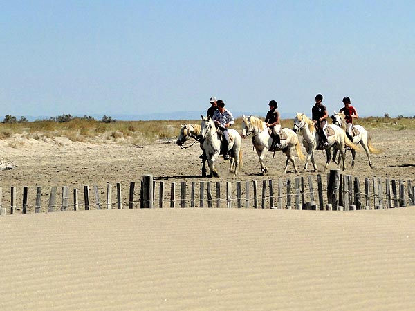 Balade dans les dunes