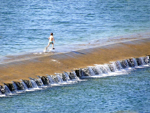 Baignade en Camargue