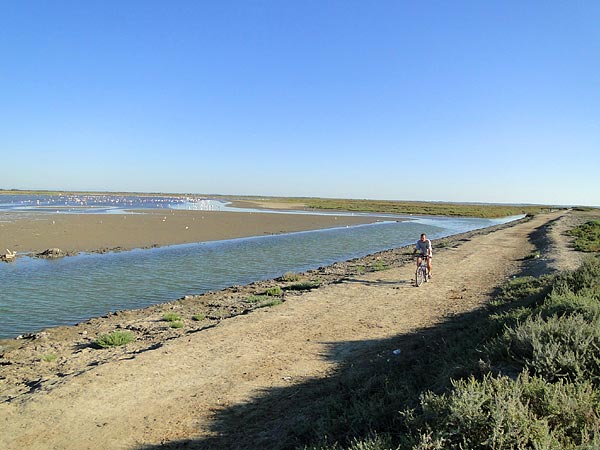 Walk with bicycle